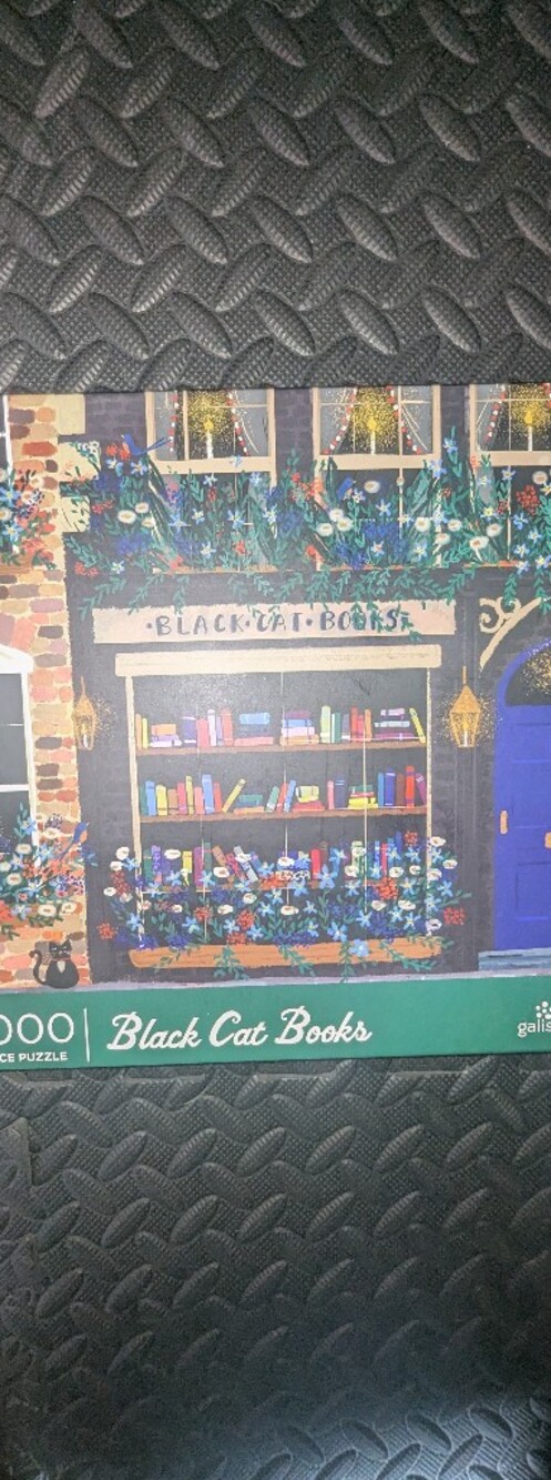 NWT - 1000 Piece Puzzle - Galison - Black Cat Books